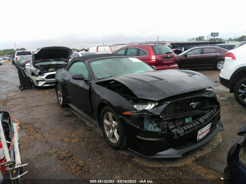 FORD MUSTANG