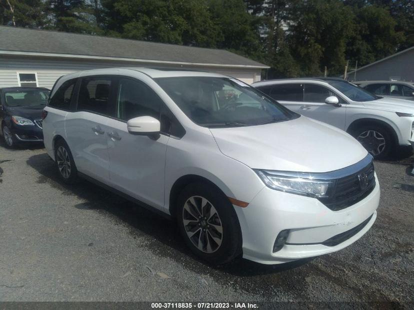 HONDA ODYSSEY