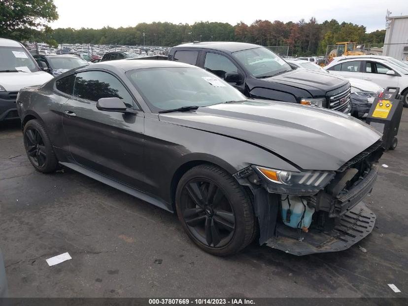 FORD MUSTANG