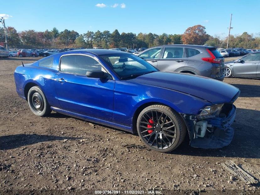 FORD MUSTANG