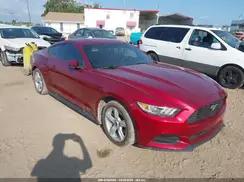 FORD MUSTANG