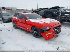FORD MUSTANG
