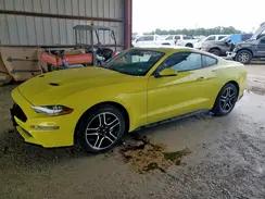 FORD MUSTANG
