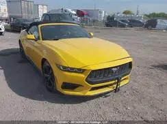 FORD MUSTANG