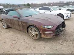 FORD MUSTANG