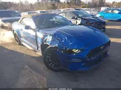 FORD MUSTANG