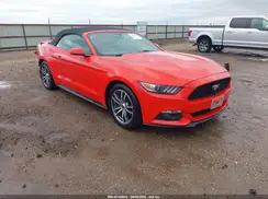 FORD MUSTANG