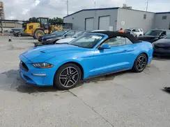 FORD MUSTANG