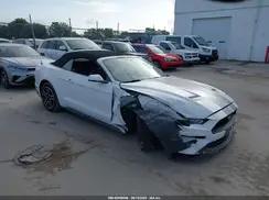 FORD MUSTANG