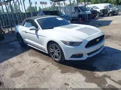 FORD MUSTANG