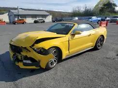 FORD MUSTANG