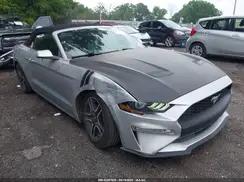 FORD MUSTANG