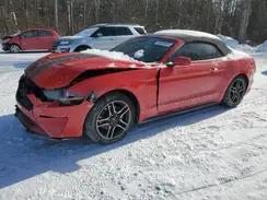 FORD MUSTANG