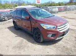 FORD ESCAPE