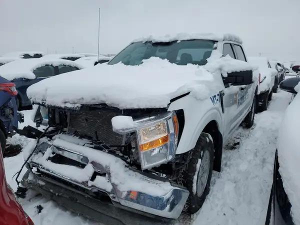 FORD F-150