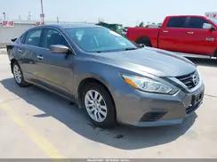 NISSAN ALTIMA