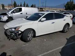 NISSAN ALTIMA