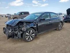 NISSAN ALTIMA