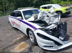 DODGE CHARGER
