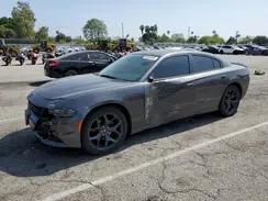 DODGE CHARGER