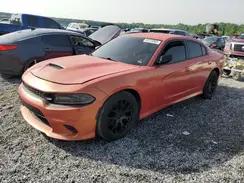 DODGE CHARGER