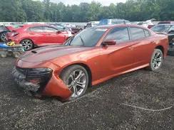 DODGE CHARGER