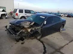 DODGE CHARGER