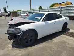 DODGE CHARGER