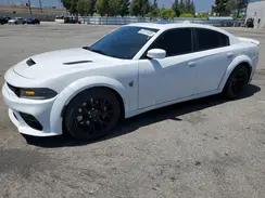 DODGE CHARGER