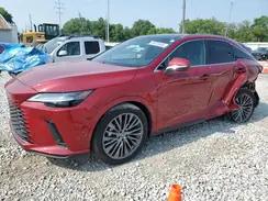LEXUS RX