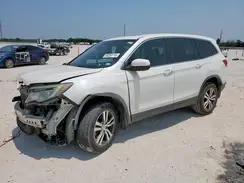 HONDA PILOT