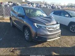HONDA PILOT