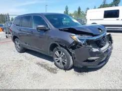 HONDA PILOT