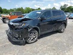 HONDA PASSPORT