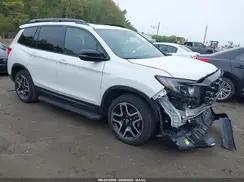HONDA PASSPORT