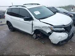 HONDA PASSPORT