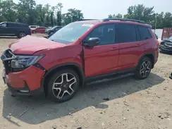 HONDA PASSPORT