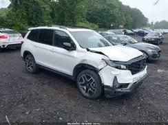 HONDA PASSPORT