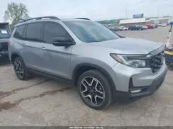 HONDA PASSPORT