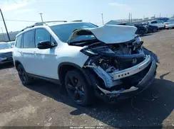 HONDA PASSPORT