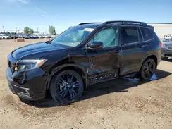 HONDA PASSPORT