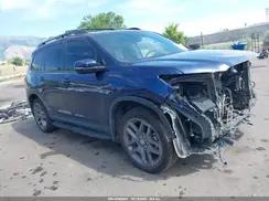 HONDA PASSPORT