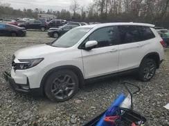 HONDA PASSPORT