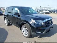 HONDA PASSPORT
