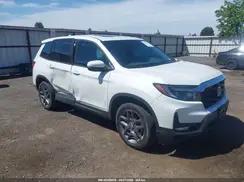 HONDA PASSPORT