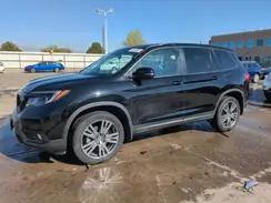 HONDA PASSPORT