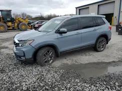 HONDA PASSPORT