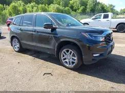HONDA PASSPORT