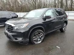 HONDA PASSPORT