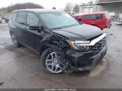 HONDA PASSPORT